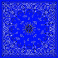 Zan Headgear Bandanna