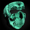Zan Headgear Neoprene Full Face Mask