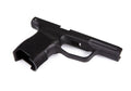 SIG SAUER P365 SAS Grip Module
