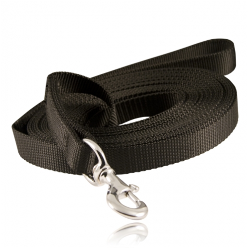 Boston Leather Nylon Tracking Lead