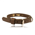 Boston Leather 1 K-9 Collar