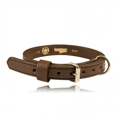 Boston Leather 1 K-9 Collar