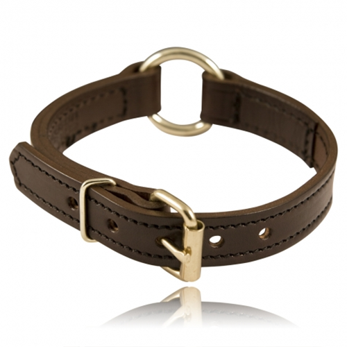 Boston Leather 1 Split Ring K-9 Collar