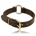 Boston Leather 1 Split Ring K-9 Collar