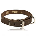 Boston Leather 1 Single Ply K-9 Collar