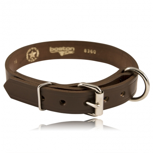 Boston Leather 1 Single Ply K-9 Collar