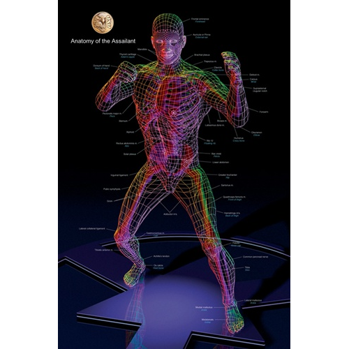 ASP Training Posters