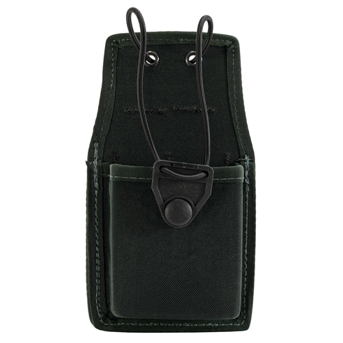 Gould & Goodrich Radio Case 1