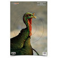 Birchwood Casey PREGAME 12 x 18 Inch Turkey, 8 Targets