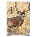 Birchwood Casey PREGAME 16.5 x 24 Inch Mule Deer, 3 Targets
