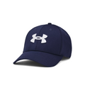 Under Armour Men's UA Blitzing