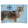 Birchwood Casey PREGAME 16.5 x 24 Inch Coyote, 3 Targets