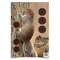 Birchwood Casey PREGAME 12 x 18 Inch Squirrel, 8 Targets