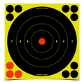Birchwood Casey Shoot-N-C 8 Inch Bull's-Eye Target