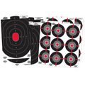 Birchwood Casey Dirty Bird 12 x 18 Target Combo 8-Pack