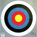 Champion Targets Champion Targets 40796 Archery 24 Bullseye Targets (2 Pack)