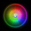 Nite-Ize Dog Discuit LED Flying Disc