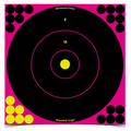 Birchwood Casey Shoot-N-C 12 Inch Pink Bull's-Eye, 100 Targets - 1,400 Pasters