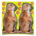Birchwood Casey Shoot-N-C 8 Inch Prairie Chuck, 12 Targets - 48 Pasters