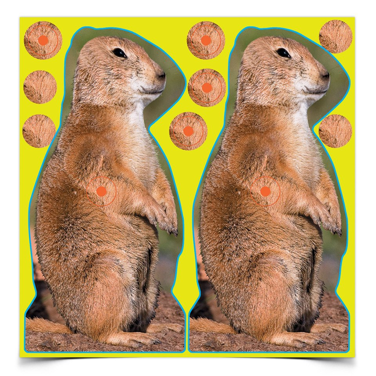 Birchwood Casey Shoot-N-C 8 Inch Prairie Chuck, 12 Targets - 48 Pasters