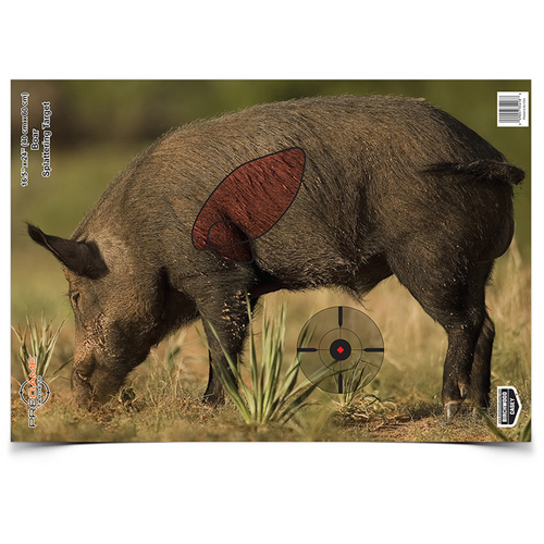 Birchwood Casey PREGAME 16.5 x 24 Inch Boar, 3 Targets