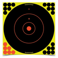 Birchwood Casey Shoot-N-C 12 Inch Bull's-Eye Target