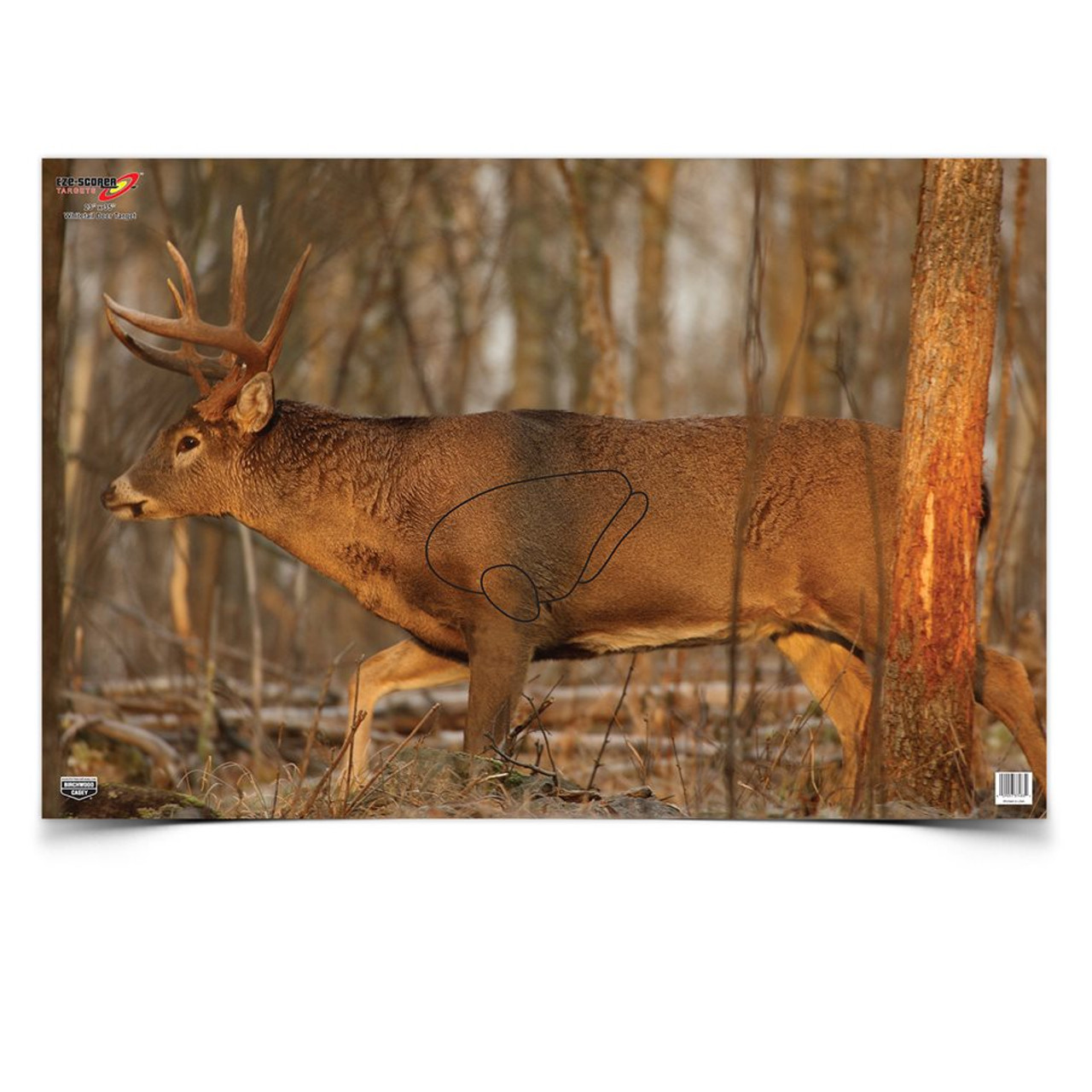 Birchwood Casey Eze-Scorer 23 x 35 Whitetail Deer Target, 2 Targets