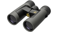 Leupold BX-2 Alpine HD 10X42mm - Roof Shadow Gray