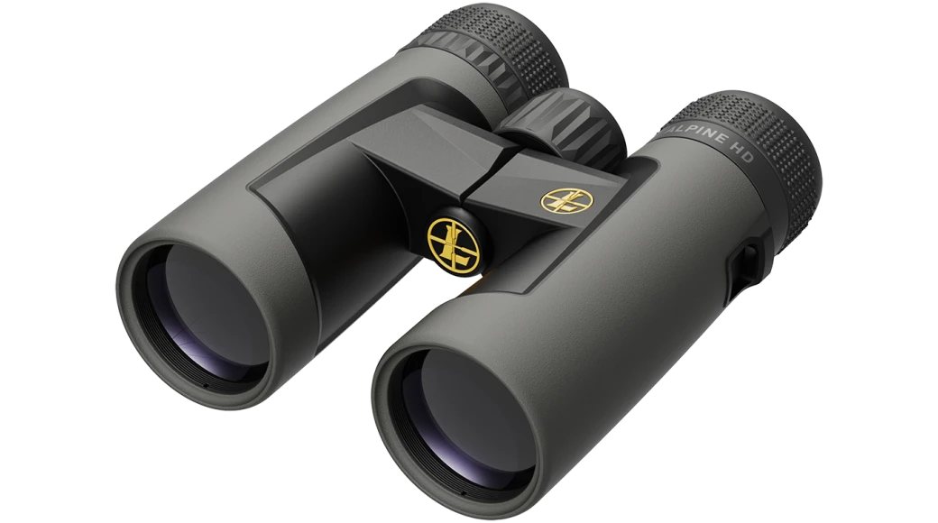 Leupold BX-2 Alpine HD 10X42mm - Roof Shadow Gray