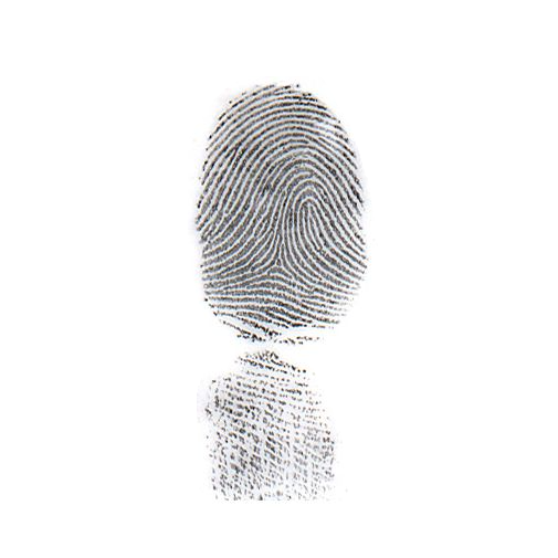 Sirchie Heavy Black Fingerprint Powder - 128oz