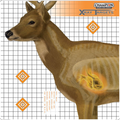 Champion Targets Champion Targets 45902 X-Ray 25 x 25 Targets, Deer, 6 Pack