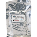 North American Rescue Polar Skin Ice Sheet - Standard Size