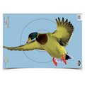 Birchwood Casey PREGAME 12 x 18 Inch Duck, 8 Targets