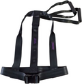 North American Rescue Dragon Harness