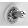 Streamlight Replacement single toggle switch