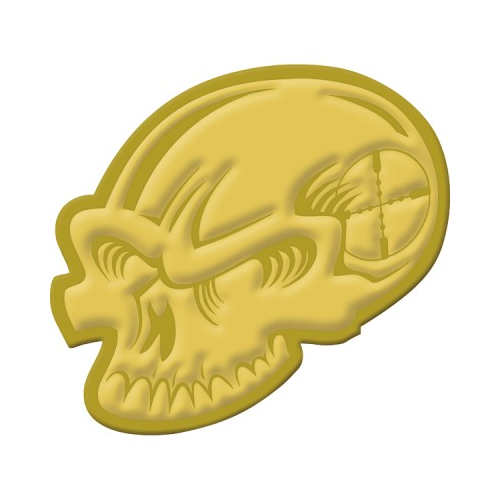 Voodoo Tactical Skull Challenge Coin