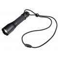 ASP Light Lanyard