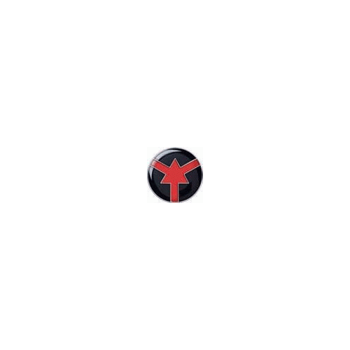 ASP Lapel Pin