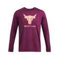 Under Armour Men's UA Project Rock Brahma Bull Shirt