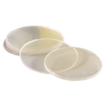 Streamlight Stinger Lens