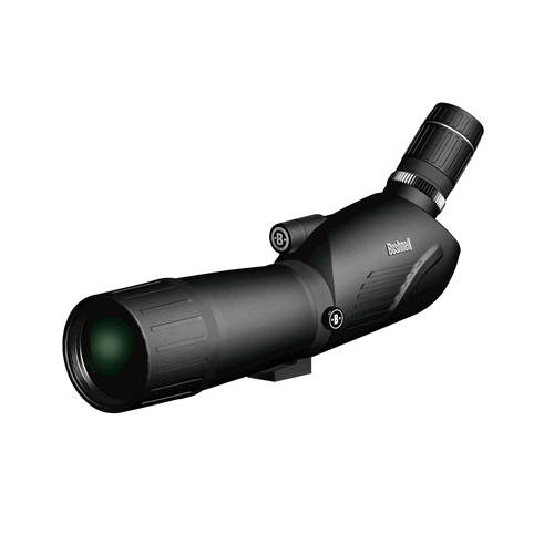 Bushnell 20-60X80 45 D Legend
