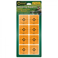 Caldwell 1 in Orange Shooting Squares, 12 sheets (216 ct)