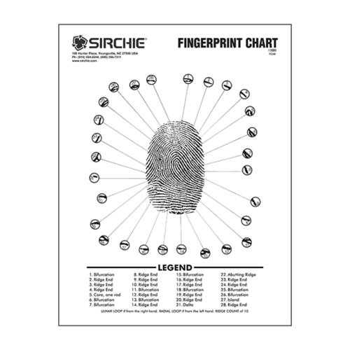 Sirchie Sirchie - Fingerprint Chart Wall Chart