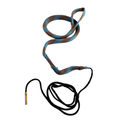 Hoppe's Boresnake
