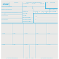 Sirchie Applicant Record Cards 8x8 - Set of 100