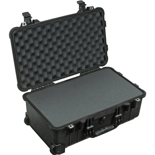 Pelican Products 1650 Protector Case