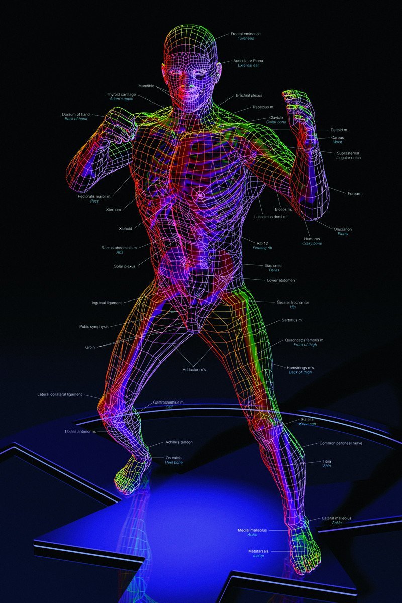 ASP Training Posters