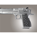 Hogue Desert Eagle G10