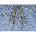 High Speed Gear High Speed Low Drag Suspenders
