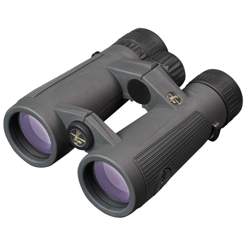 Leupold BX-5 Santiam HD
